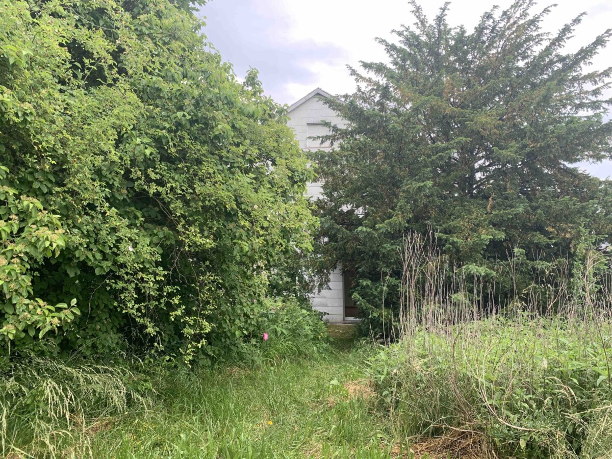 Blick vom Garten Richtung Haus