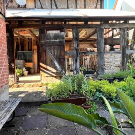 Garten mit Blick zum überdachten Terrassenbereich