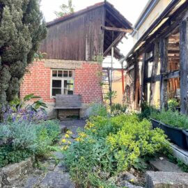 Garten mit Hofgebäude