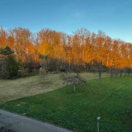 Ausblick Schlafzimmer