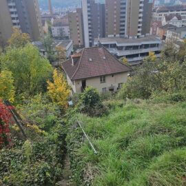 Blick nach Süden vom Garten auf das Anwesen