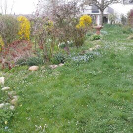 Garten zum Hegen und Pflegen