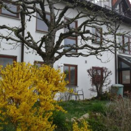 Gartengeschosswohnung mit großem Gartenanteil