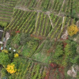 Luftbild des Anwesens