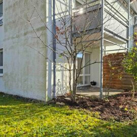 Terrasse mit viel Grün drumrum