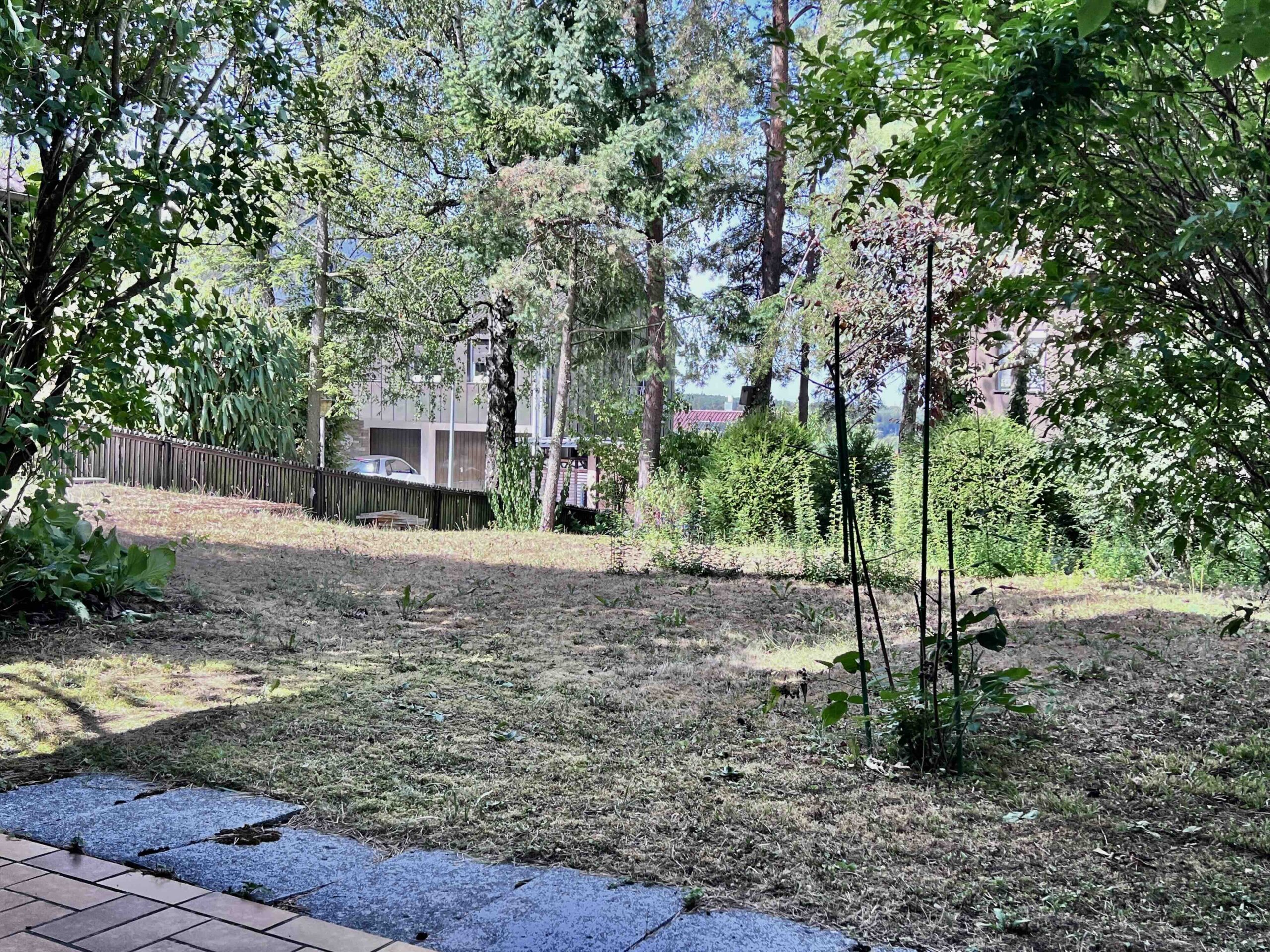 ELW Blick in den Garten