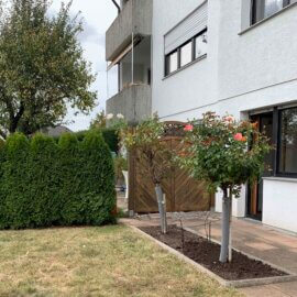 Garten und Terrasse