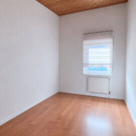 Zimmer DG
