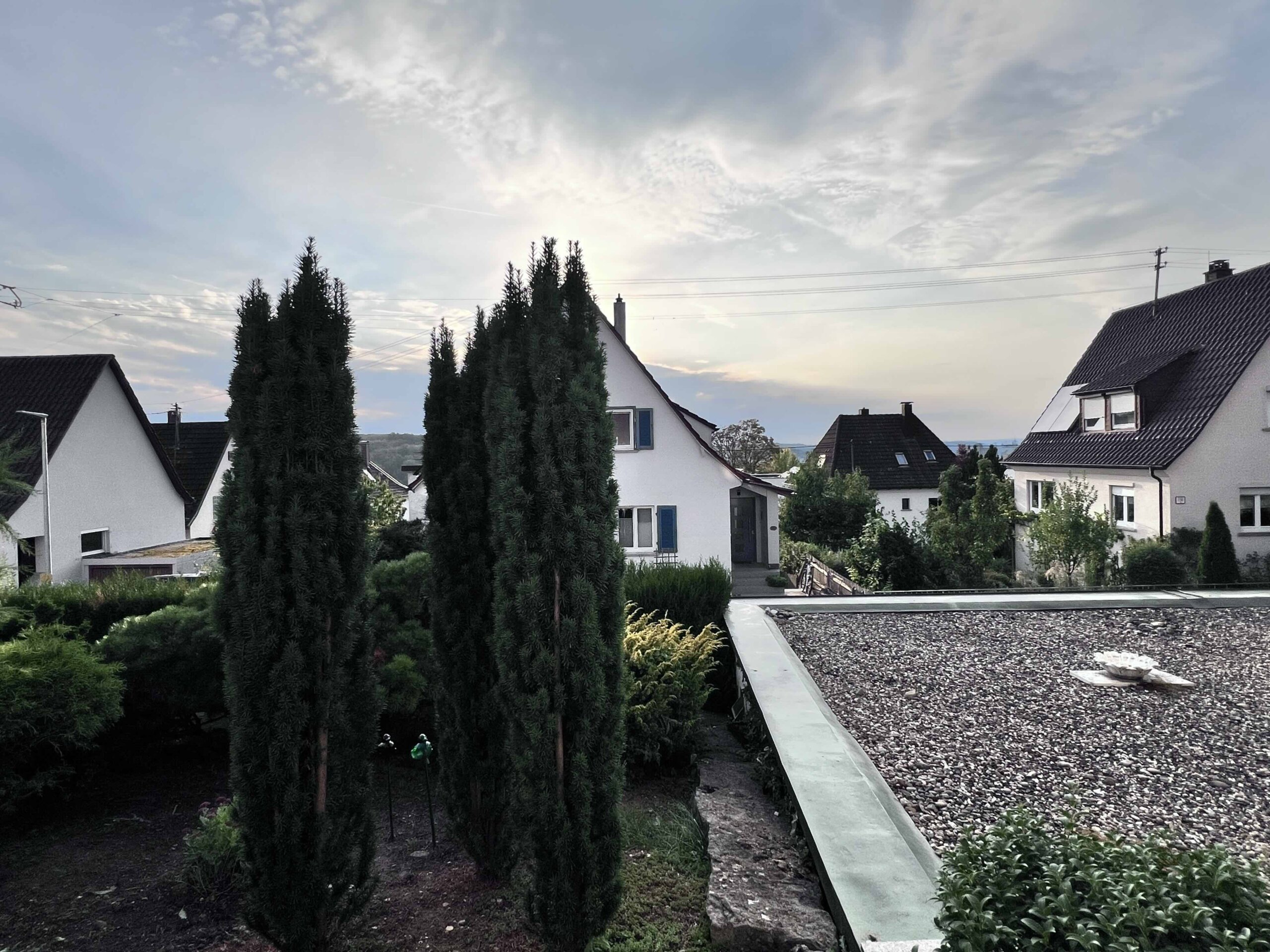 Ausblick